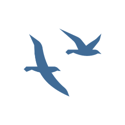 Tutorial icon