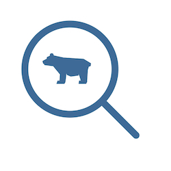 Tutorial icon