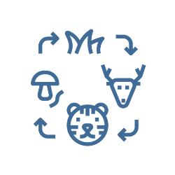 Tutorial icon